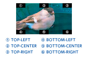 オーバーレイテキスト