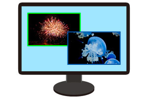 ボーダーカラー